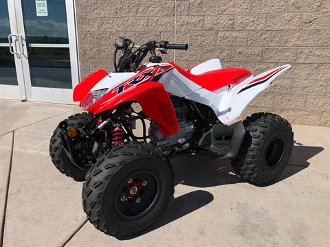 2024 Honda TRX250X in Saint George, Utah - Photo 1