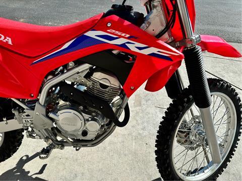 2024 Honda CRF250F in Saint George, Utah - Photo 8