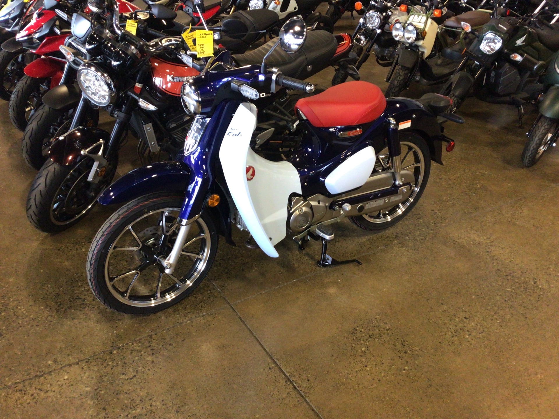 2024 Honda Super Cub C125 ABS in Middletown, New York - Photo 1