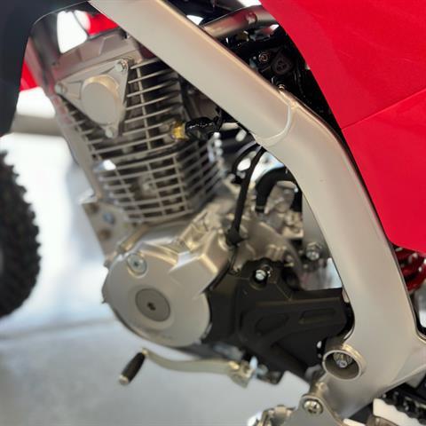 2025 Honda CRF125F in Corry, Pennsylvania - Photo 12