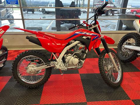 2024 Honda CRF125F - Big Wheel in Ukiah, California