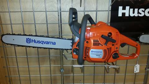 Husqvarna Power Equipment 445 16 in. in Bigfork, Minnesota - Photo 1