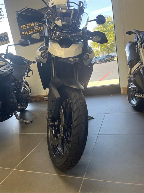 2023 Triumph Tiger 900 GT Pro in Fort Wayne, Indiana - Photo 4