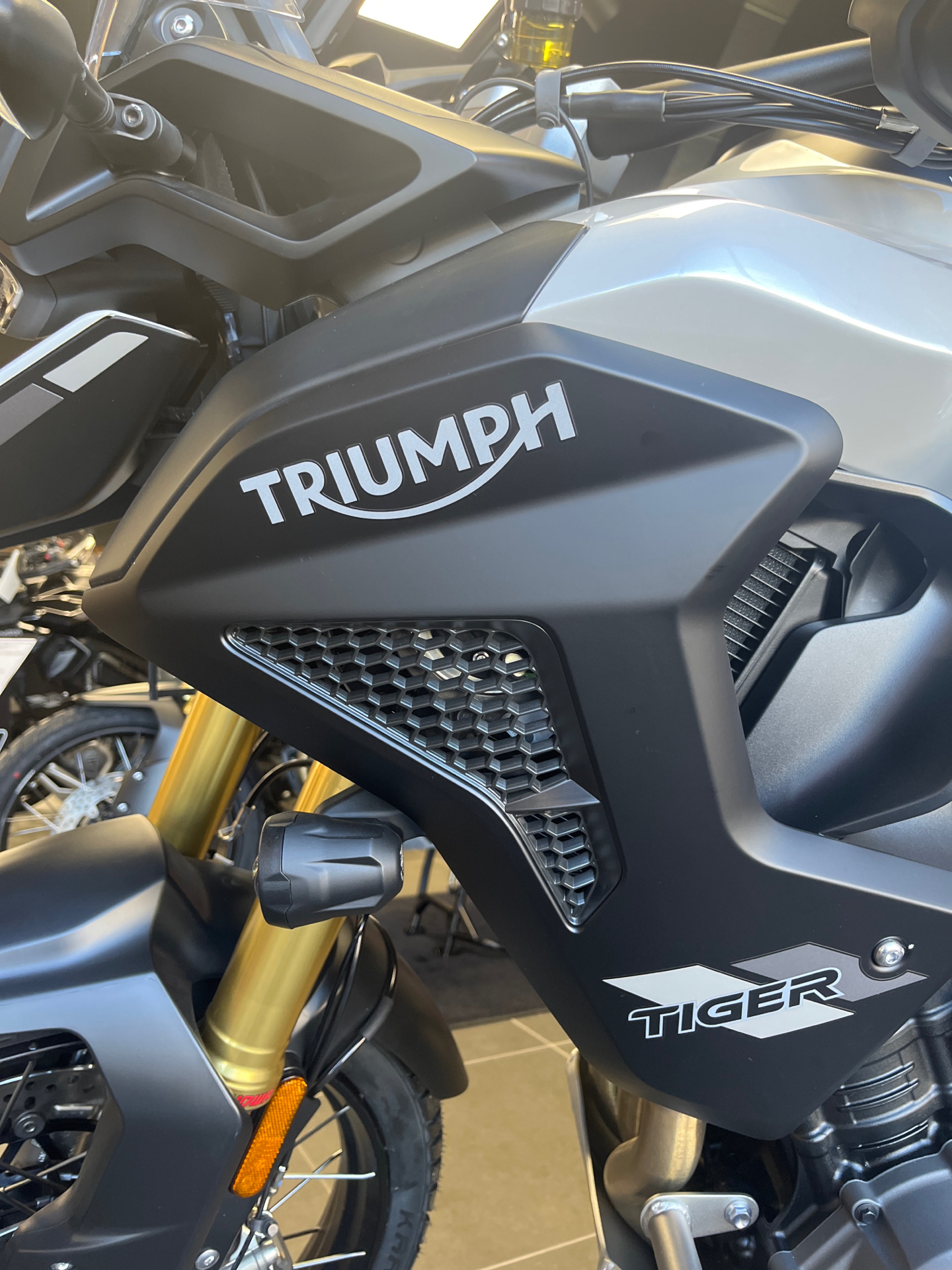 2023 Triumph Tiger 1200 Rally Pro with APR in Fort Wayne, Indiana - Photo 4