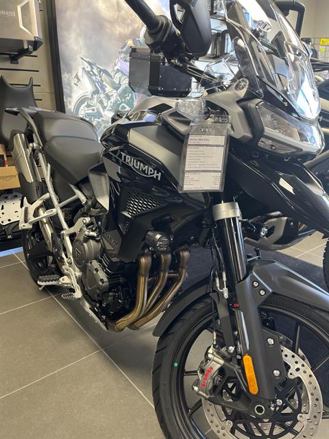 2024 Triumph Tiger 1200 GT Pro in Fort Wayne, Indiana - Photo 1