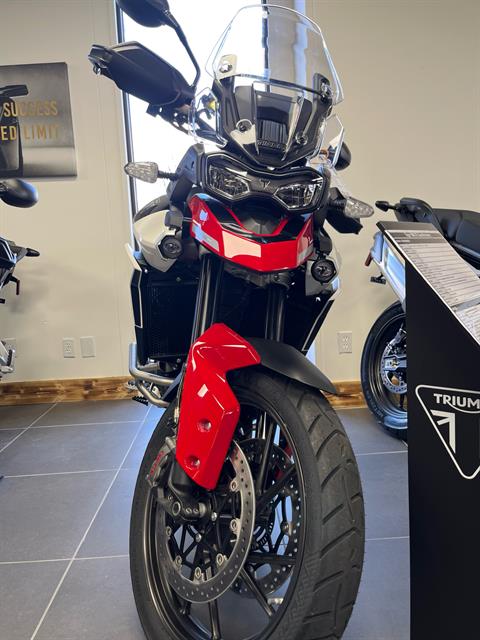 2024 Triumph Tiger 900 GT Pro in Fort Wayne, Indiana - Photo 3
