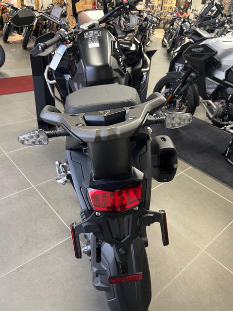 2023 Triumph Tiger 1200 Rally Explorer in Fort Wayne, Indiana - Photo 3