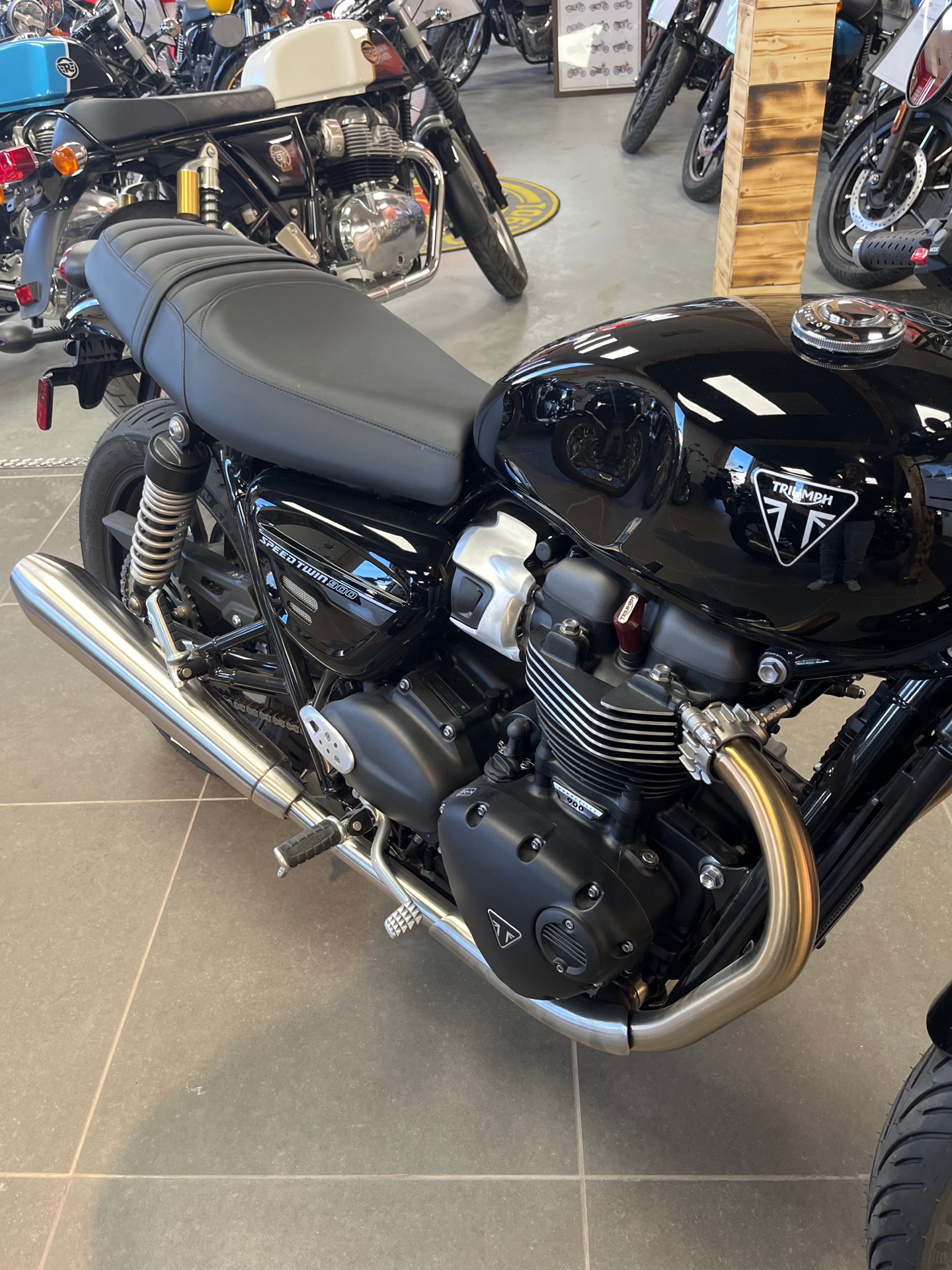 2024 Triumph Speed Twin 900 in Fort Wayne, Indiana - Photo 1
