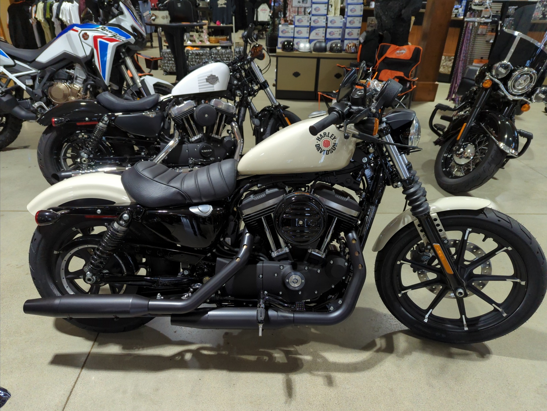 2022 Harley-Davidson Iron 883™ in Broadalbin, New York - Photo 1