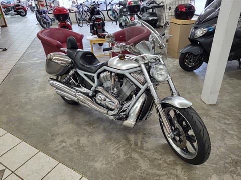 2002 Harley-Davidson VRSCA  V-Rod® in Edwardsville, Illinois - Photo 1