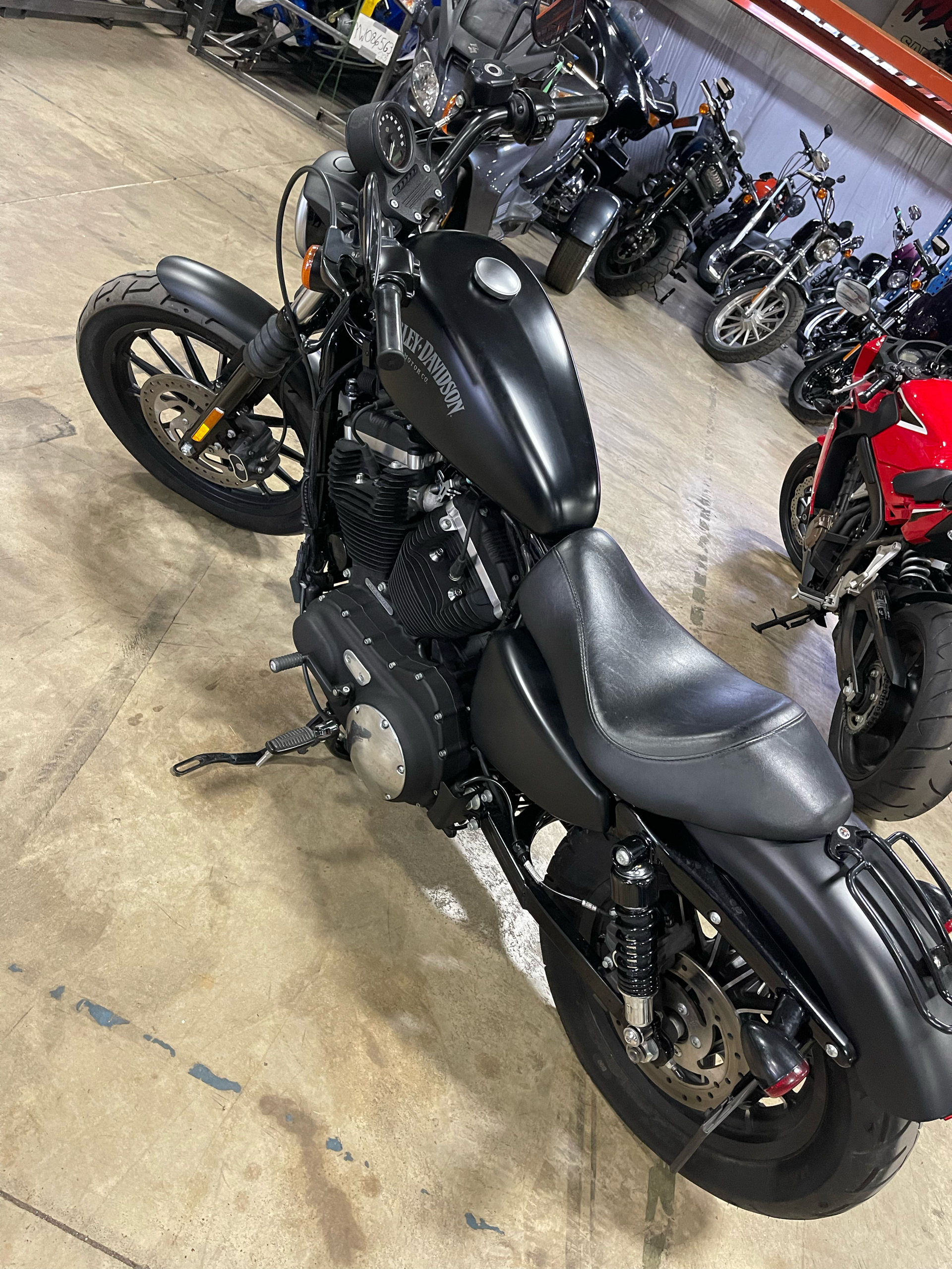 2015 Harley-Davidson Iron 883™ in Monroe, Michigan - Photo 5