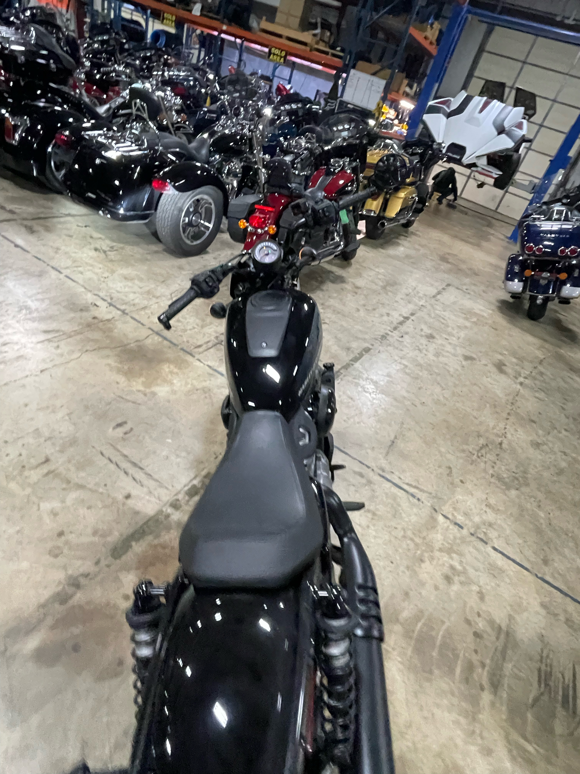 2022 Harley-Davidson Nightster™ in Monroe, Michigan - Photo 4
