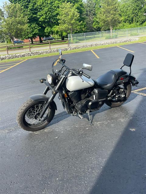 2019 Honda Shadow Phantom in Monroe, Michigan - Photo 4