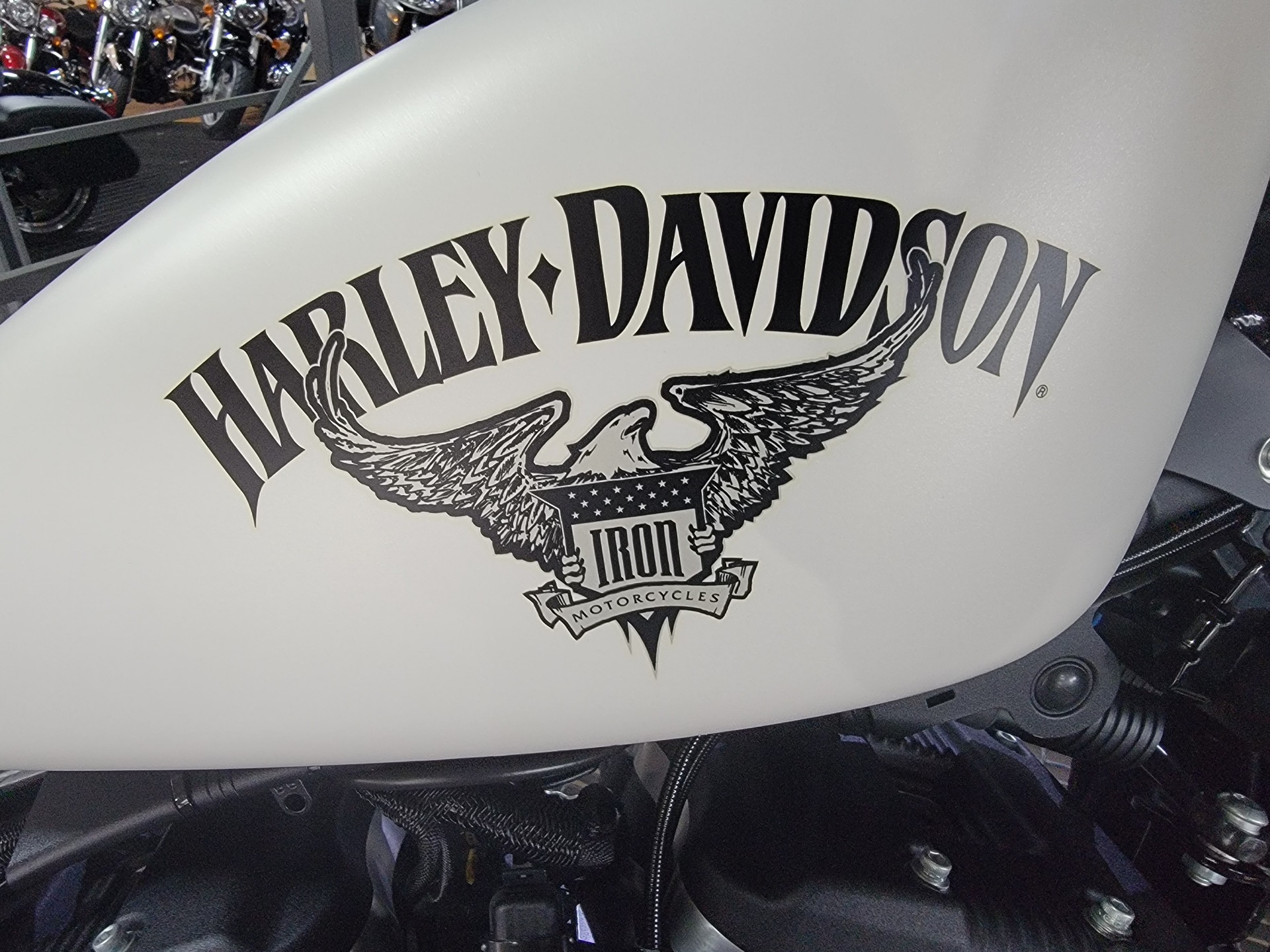2018 Harley-Davidson Iron 883™ in Monroe, Michigan - Photo 14