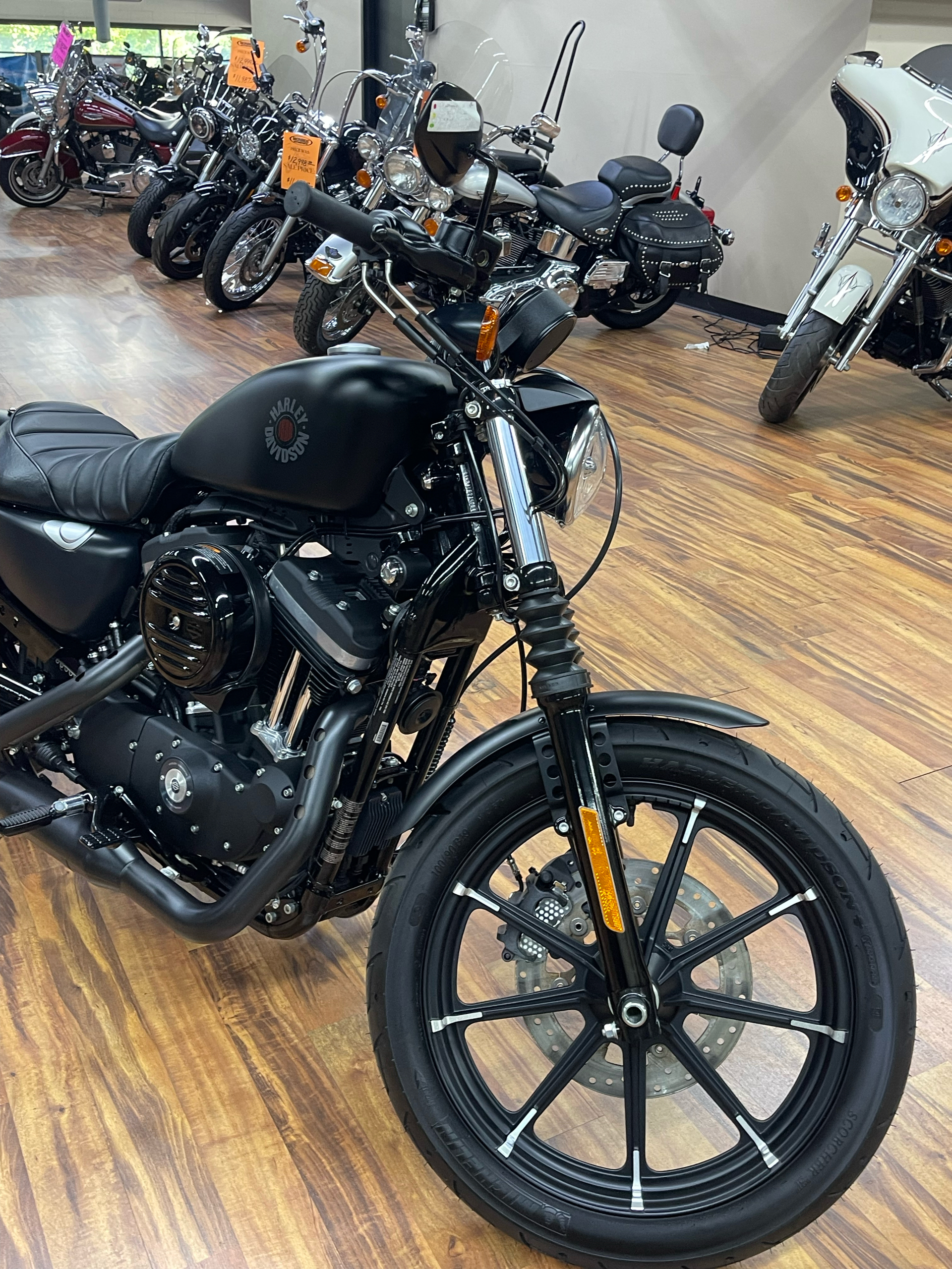 2021 Harley-Davidson Iron 883™ in Monroe, Michigan - Photo 8