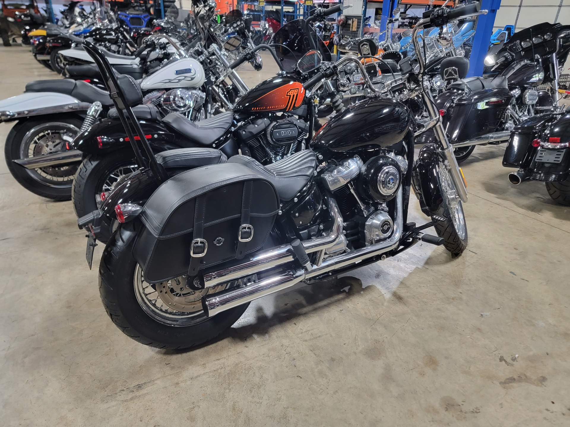 2020 Harley-Davidson Softail® Standard in Monroe, Michigan - Photo 4