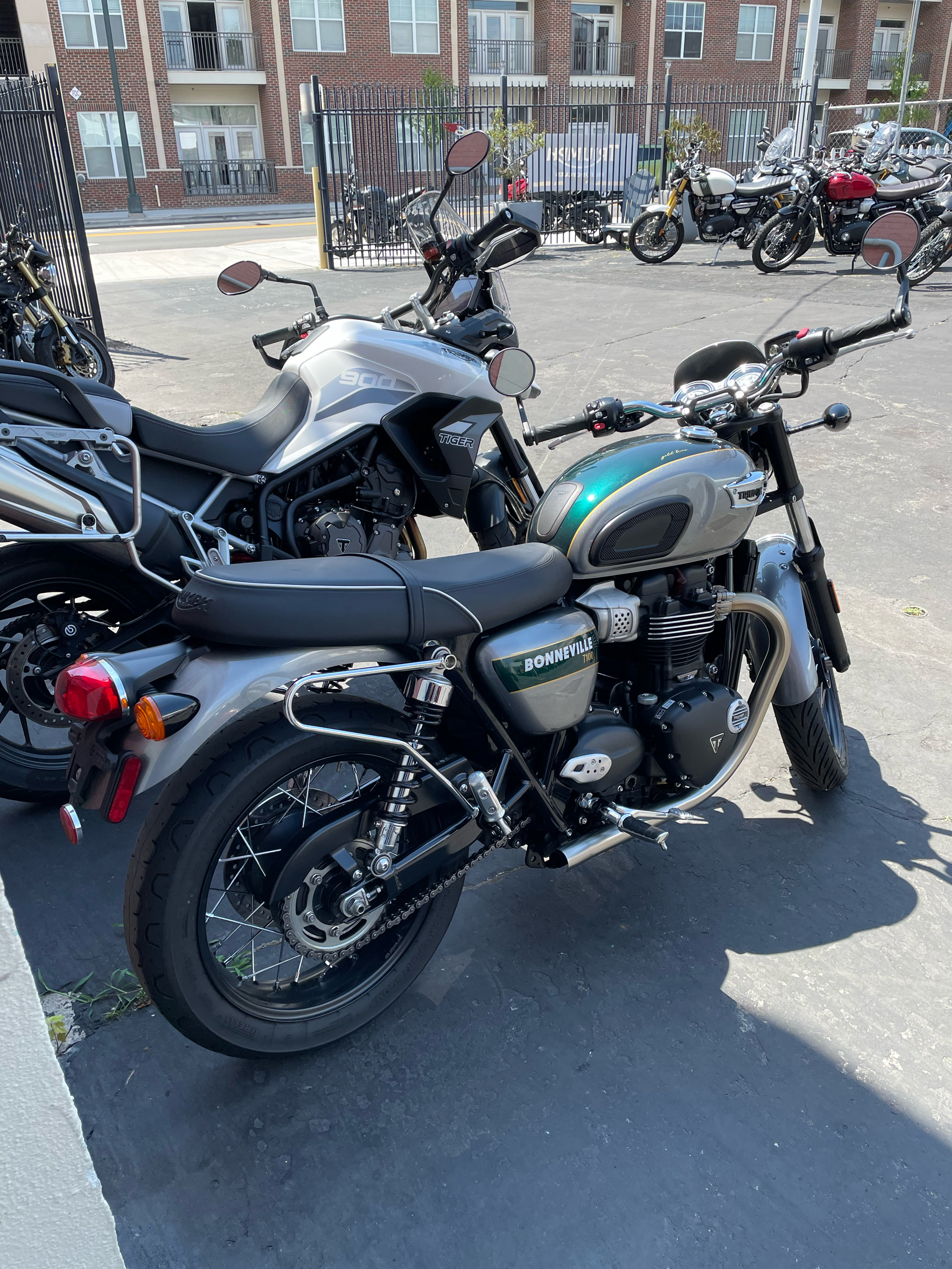 2022 Triumph Bonneville T100 Gold Line in Greensboro, North Carolina - Photo 2