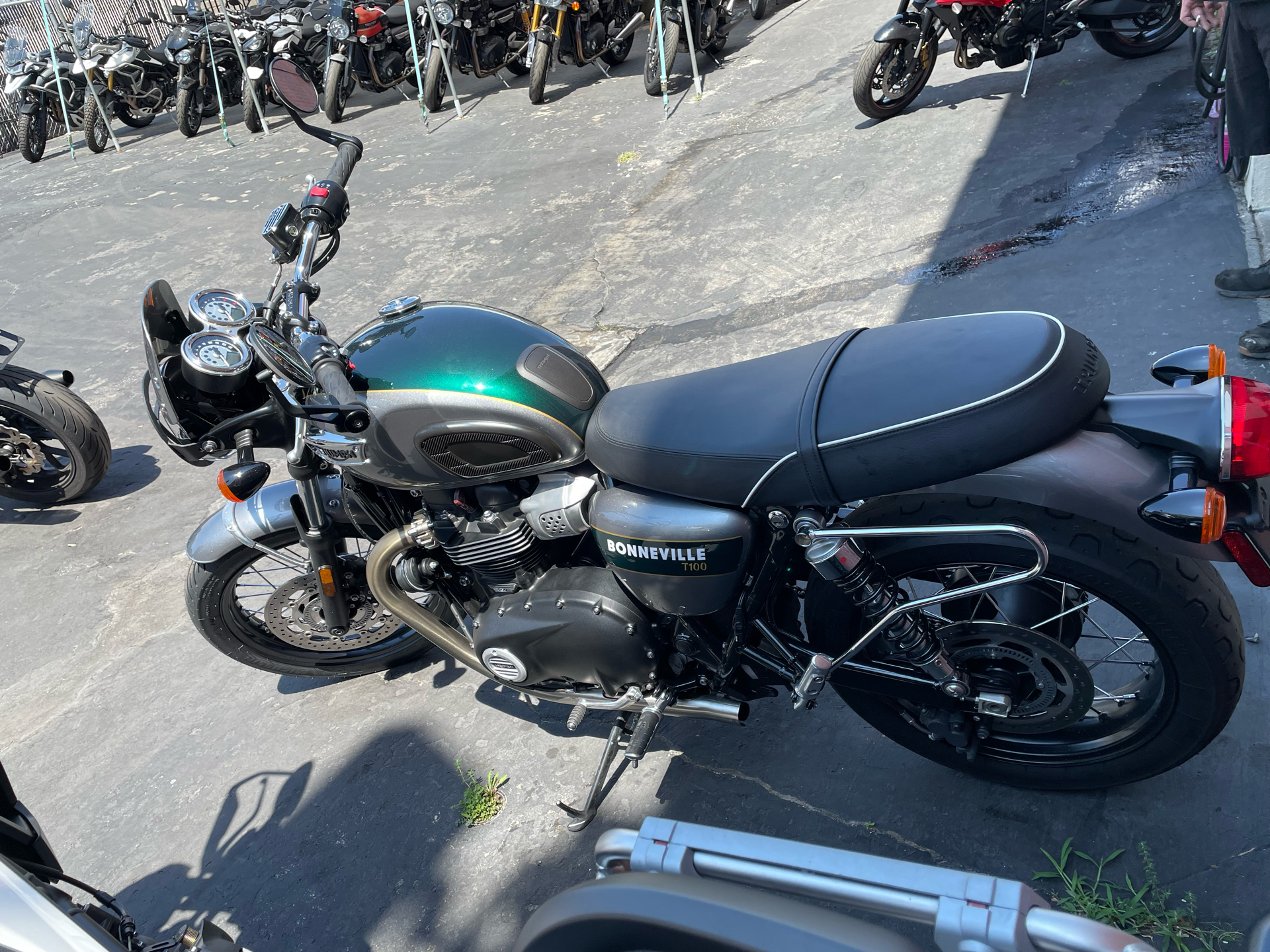 2022 Triumph Bonneville T100 Gold Line in Greensboro, North Carolina - Photo 4