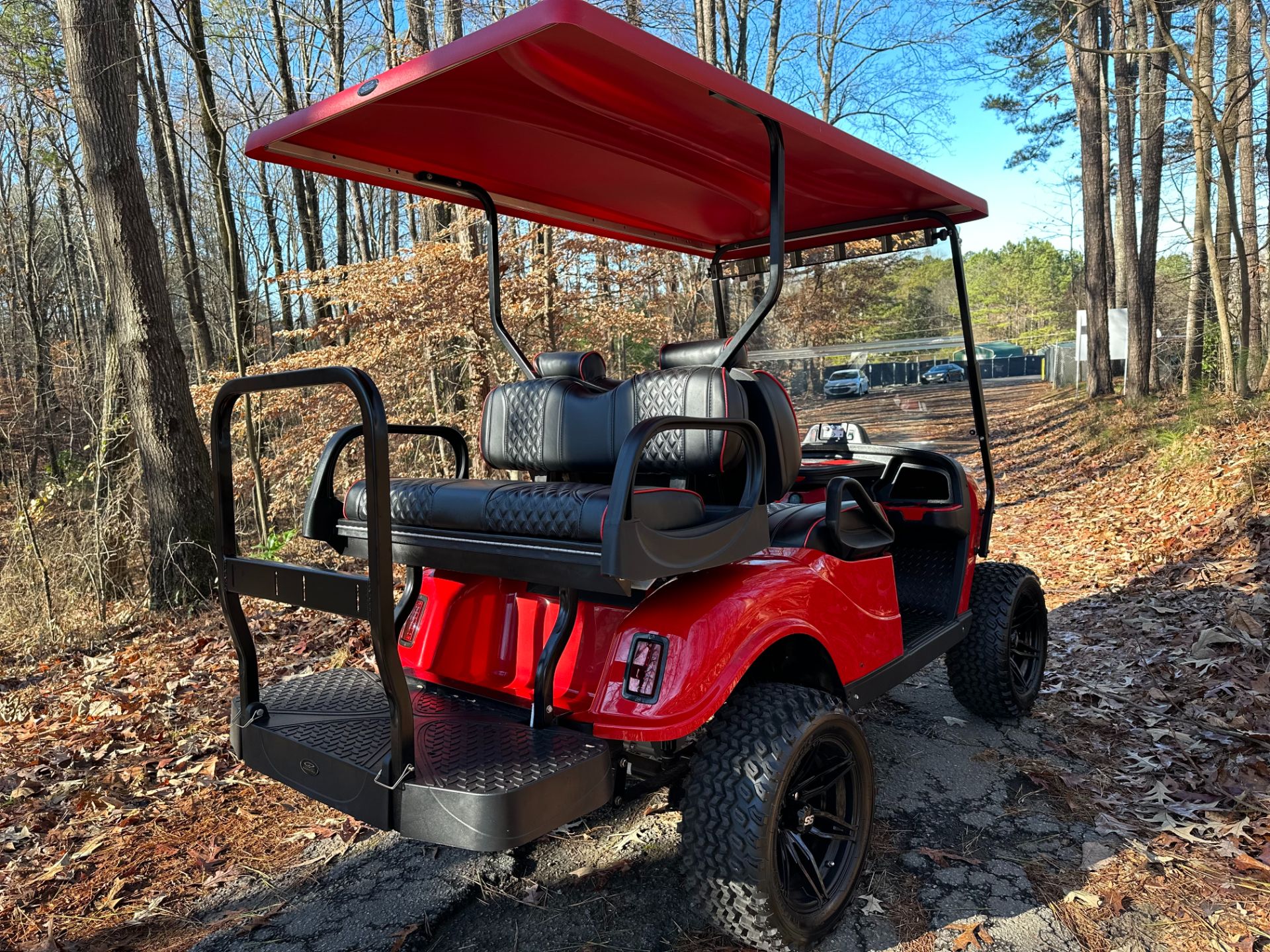 2023 NAVITAS Phoenix 48v electric golf cart in Woodstock, Georgia - Photo 6