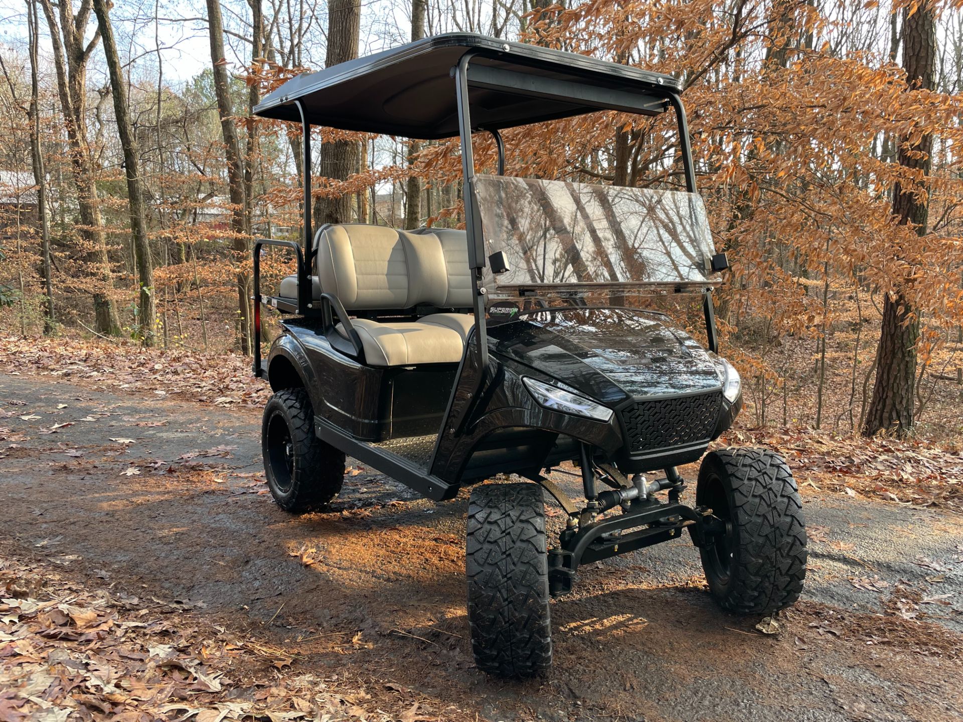 2022 NAVITAS Storm 48v Lithium Golf Cart in Woodstock, Georgia - Photo 5