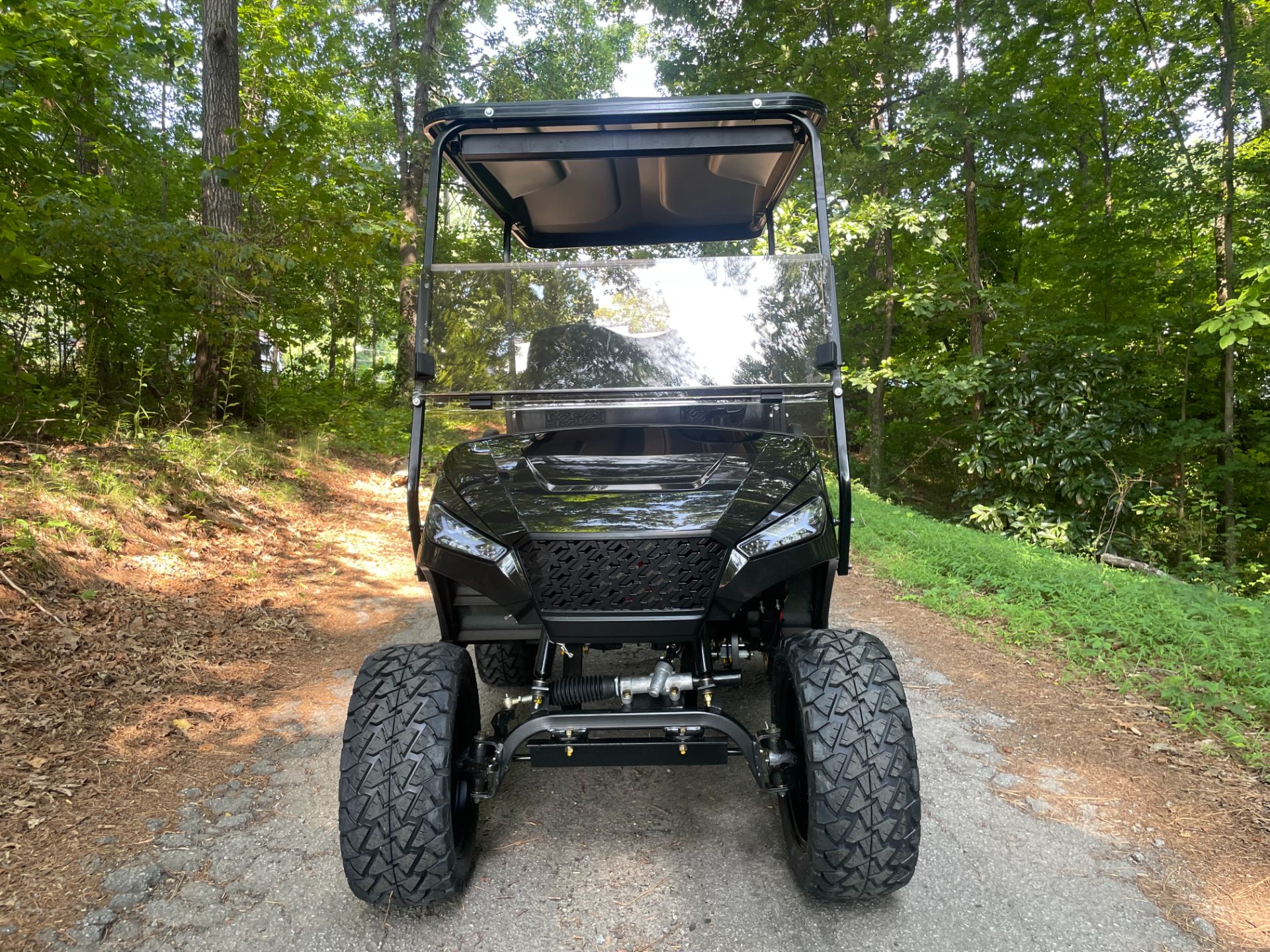 2022 NAVITAS strom 48v lithium electric golf cart 25+ mph in Woodstock, Georgia - Photo 2
