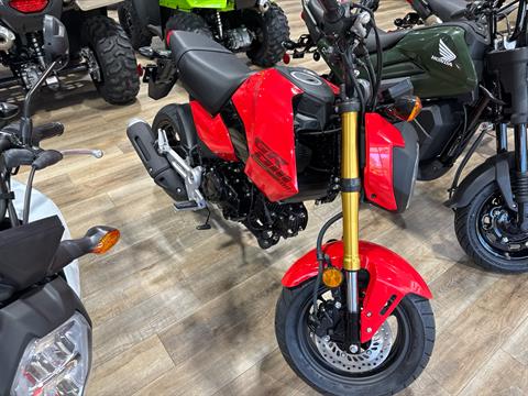 2025 Honda GROM in North Little Rock, Arkansas