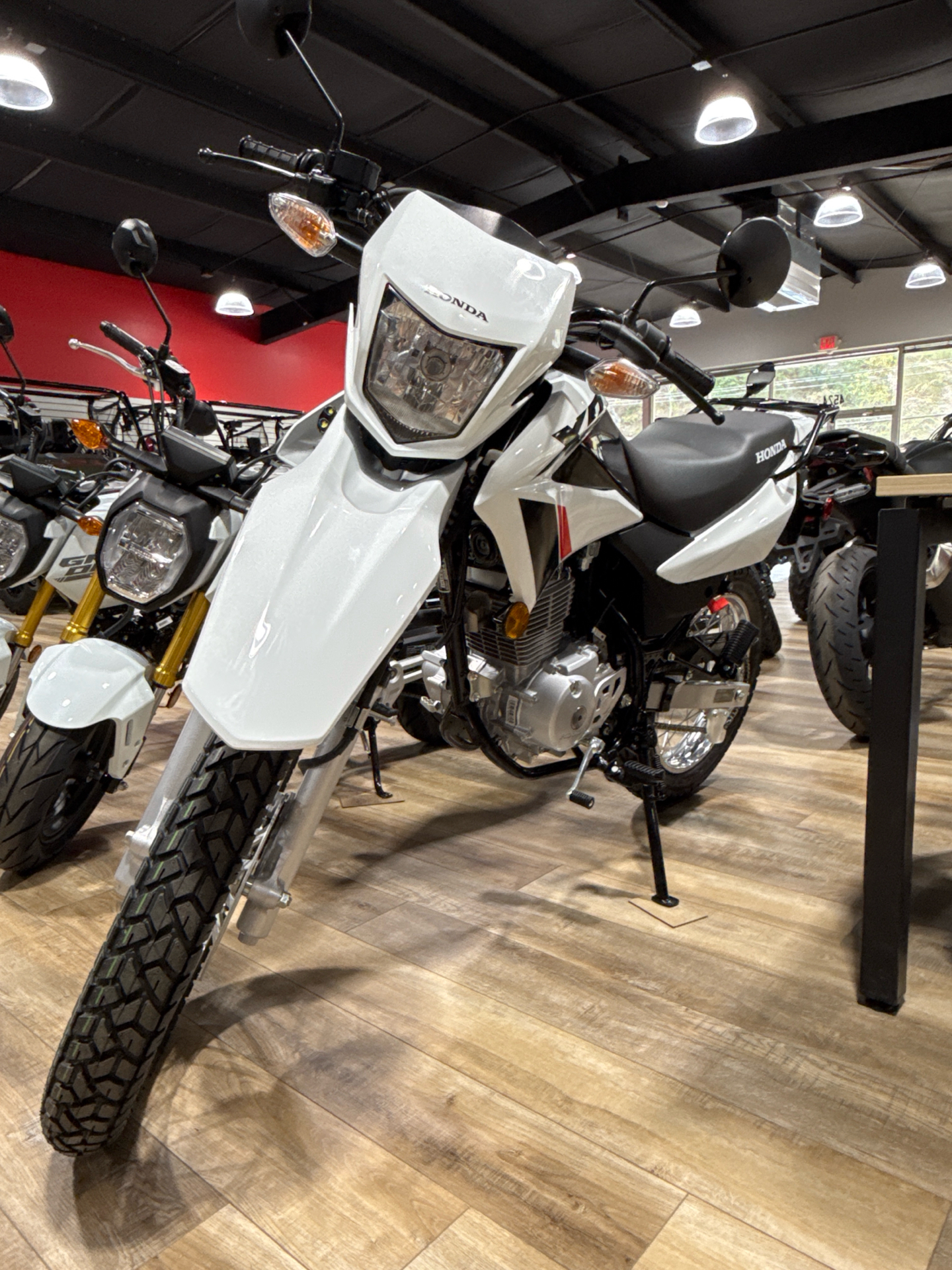 2024 Honda XR150L in North Little Rock, Arkansas - Photo 2