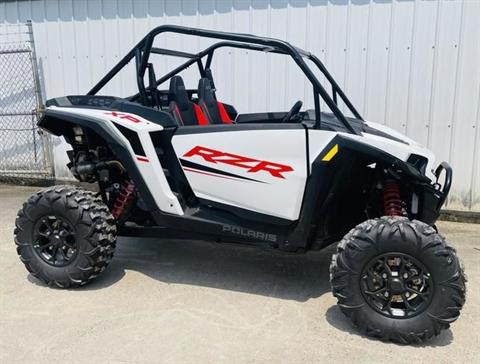 2024 Polaris RZR XP 1000 Sport in Thief River Falls, Minnesota