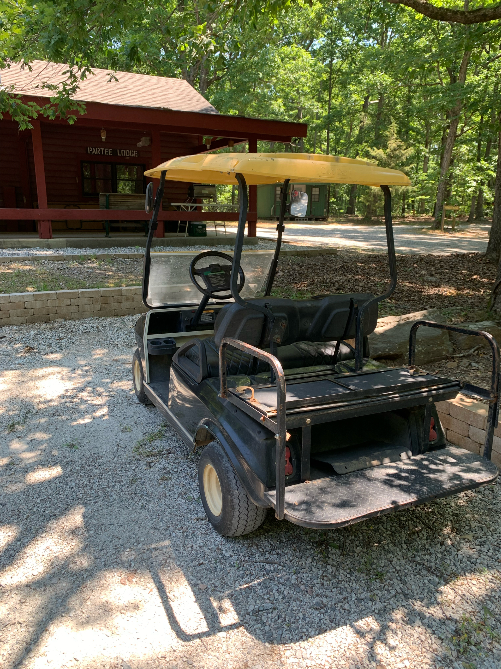 2008 Club Car DS in Richmond, Virginia - Photo 3