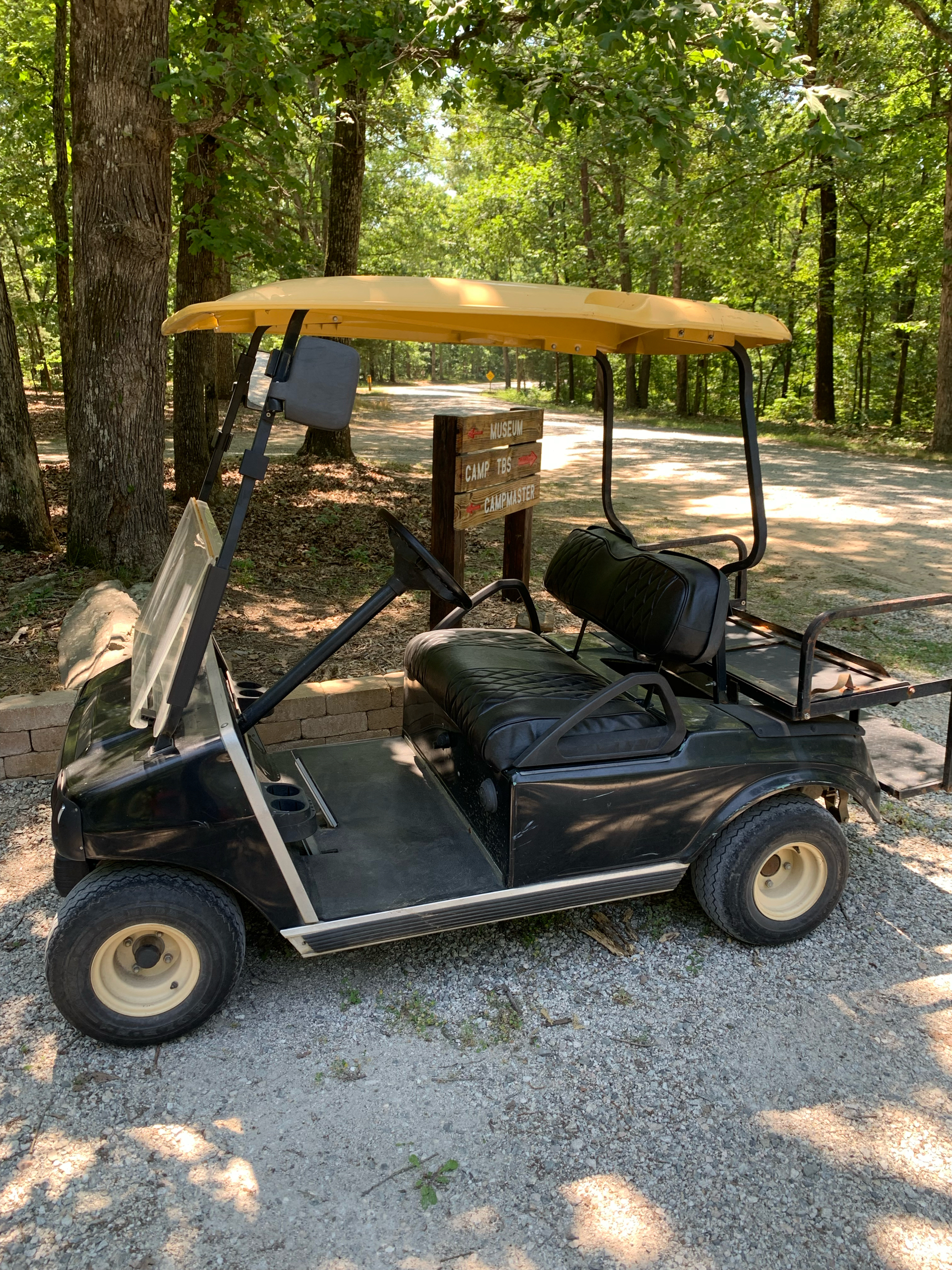 2008 Club Car DS in Richmond, Virginia - Photo 4