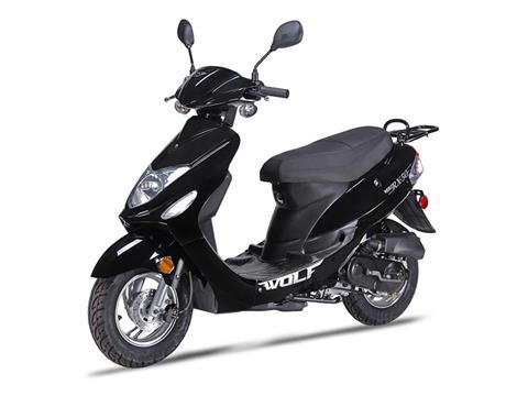 2021 Wolf Brand Scooters Wolf RX-50 in Richmond, Virginia