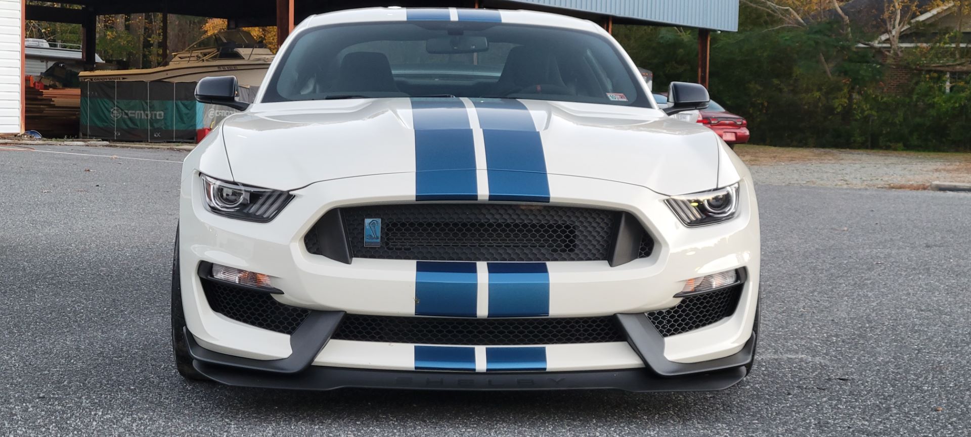 2020 Ford MUSTANG SHELBY in Hayes, Virginia - Photo 2