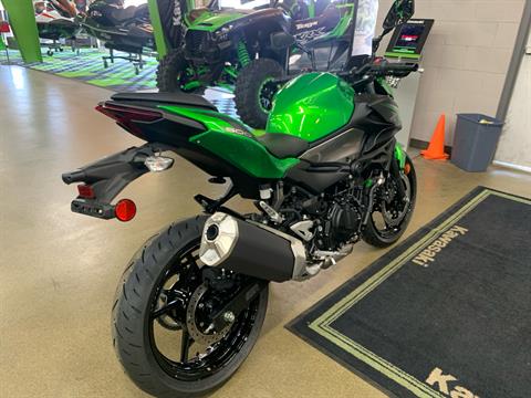 2024 Kawasaki Z500 ABS in Longmont, Colorado - Photo 4