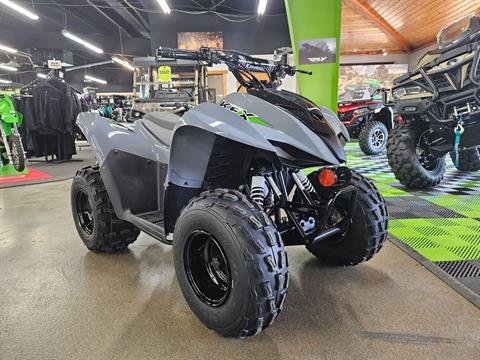 2024 Kawasaki KFX 90 in Longmont, Colorado - Photo 2