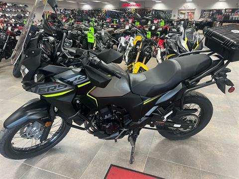 2019 Kawasaki Versys-X 300 ABS in Berkeley Springs, West Virginia - Photo 1