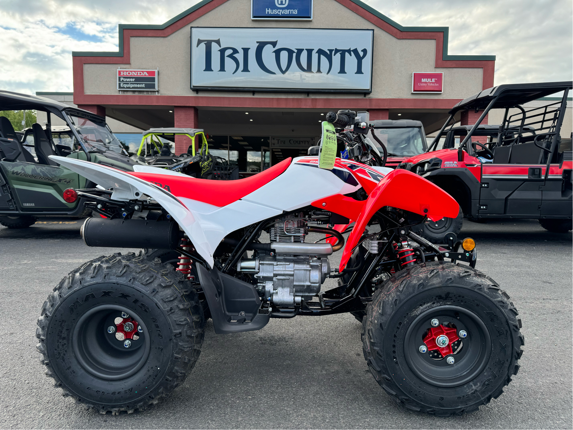 2024 Honda TRX250X in Petersburg, West Virginia - Photo 1