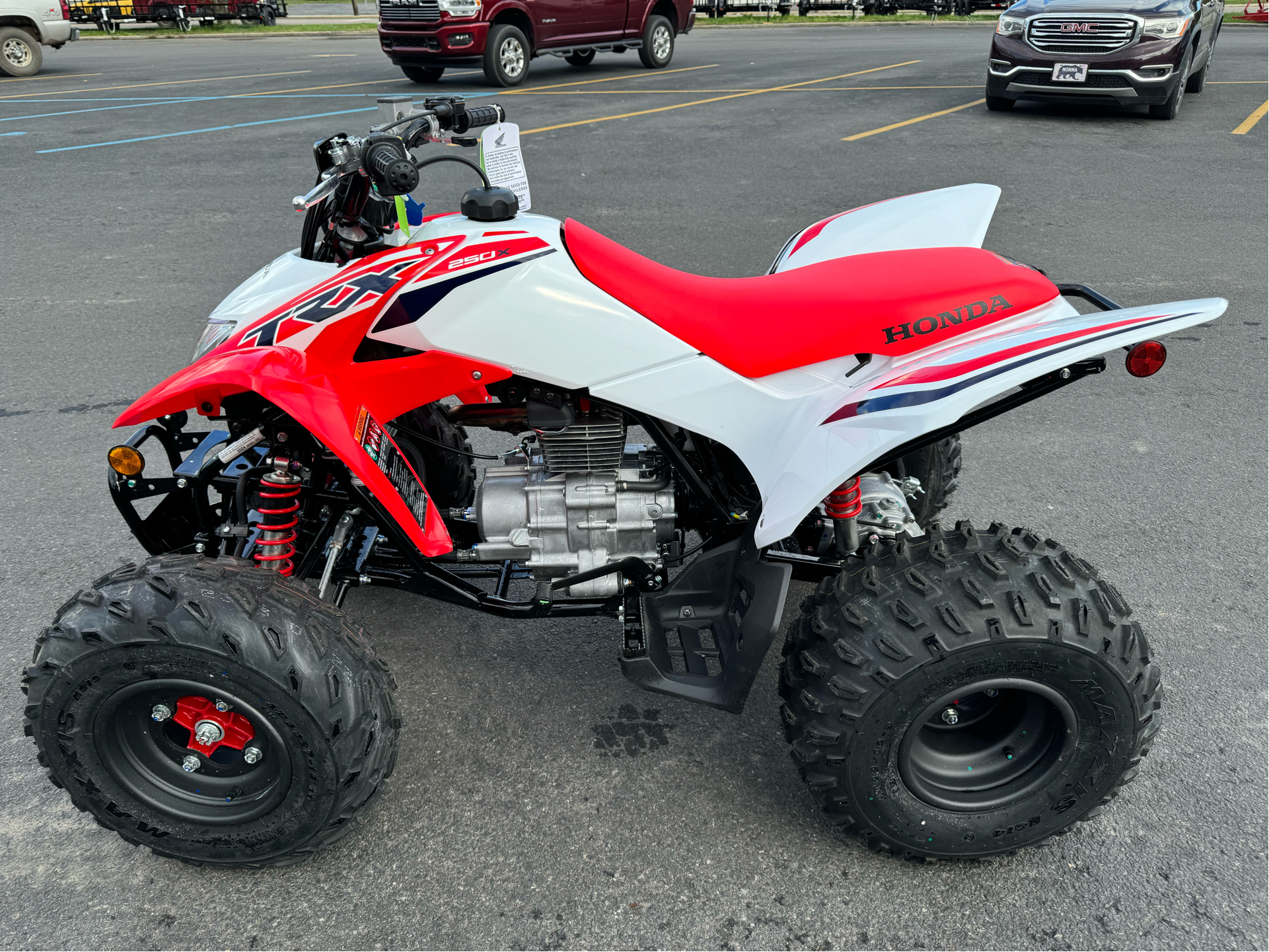 2024 Honda TRX250X in Petersburg, West Virginia - Photo 3