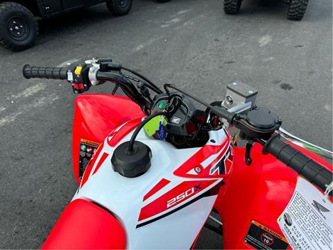 2024 Honda TRX250X in Petersburg, West Virginia - Photo 6