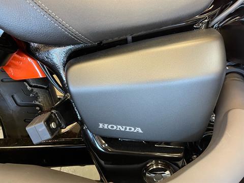2024 Honda Shadow Phantom in Petersburg, West Virginia - Photo 6