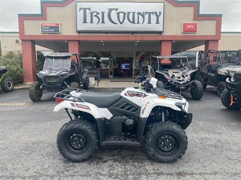 2025 Kawasaki Brute Force 450 4x4 in Petersburg, West Virginia - Photo 1