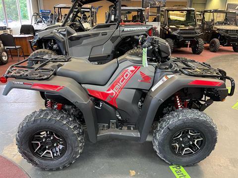 2024 Honda FourTrax Foreman Rubicon 4x4 Automatic DCT EPS Deluxe in Petersburg, West Virginia - Photo 1