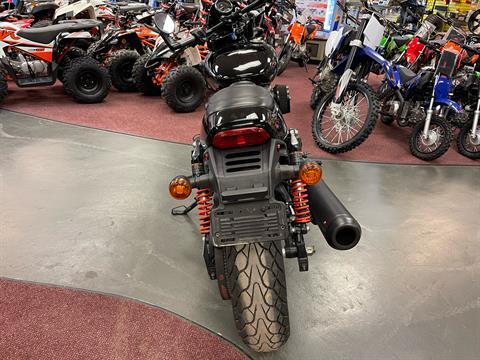 2017 Harley-Davidson Street Rod® in Petersburg, West Virginia - Photo 4