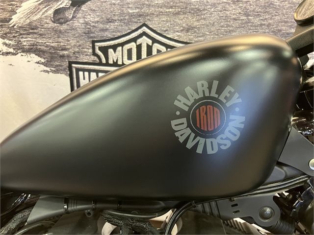 2019 Harley-Davidson Iron 883™ in Onalaska, Wisconsin - Photo 5