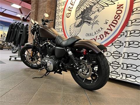 2019 Harley-Davidson Iron 883™ in Onalaska, Wisconsin - Photo 11