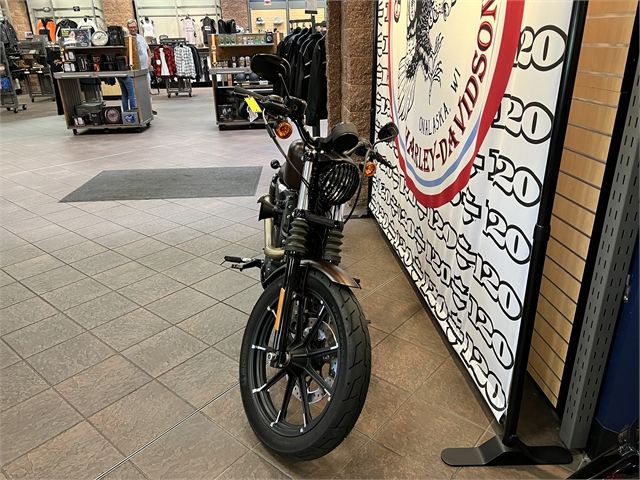2019 Harley-Davidson Iron 883™ in Onalaska, Wisconsin - Photo 15