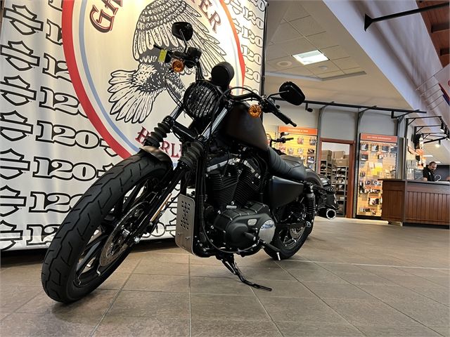 2019 Harley-Davidson Iron 883™ in Onalaska, Wisconsin - Photo 9