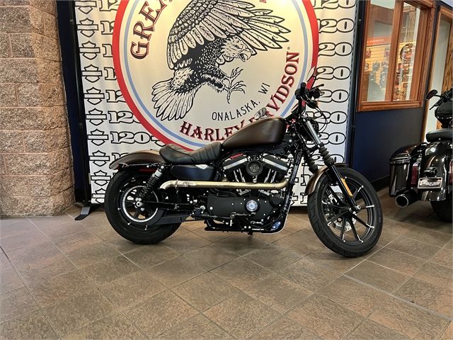 2019 Harley-Davidson Iron 883™ in Onalaska, Wisconsin - Photo 1