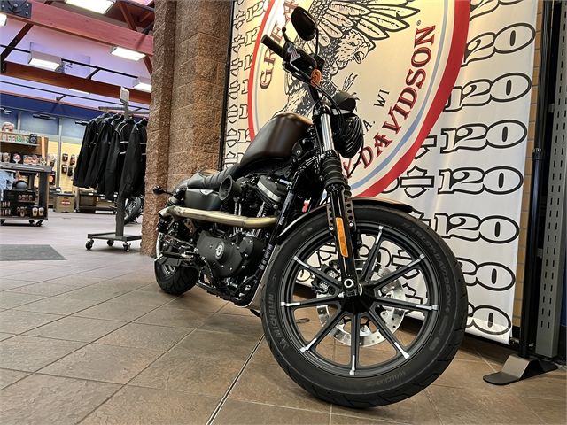 2019 Harley-Davidson Iron 883™ in Onalaska, Wisconsin - Photo 3