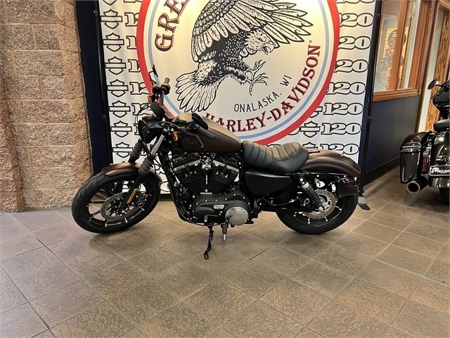 2019 Harley-Davidson Iron 883™ in Onalaska, Wisconsin - Photo 8