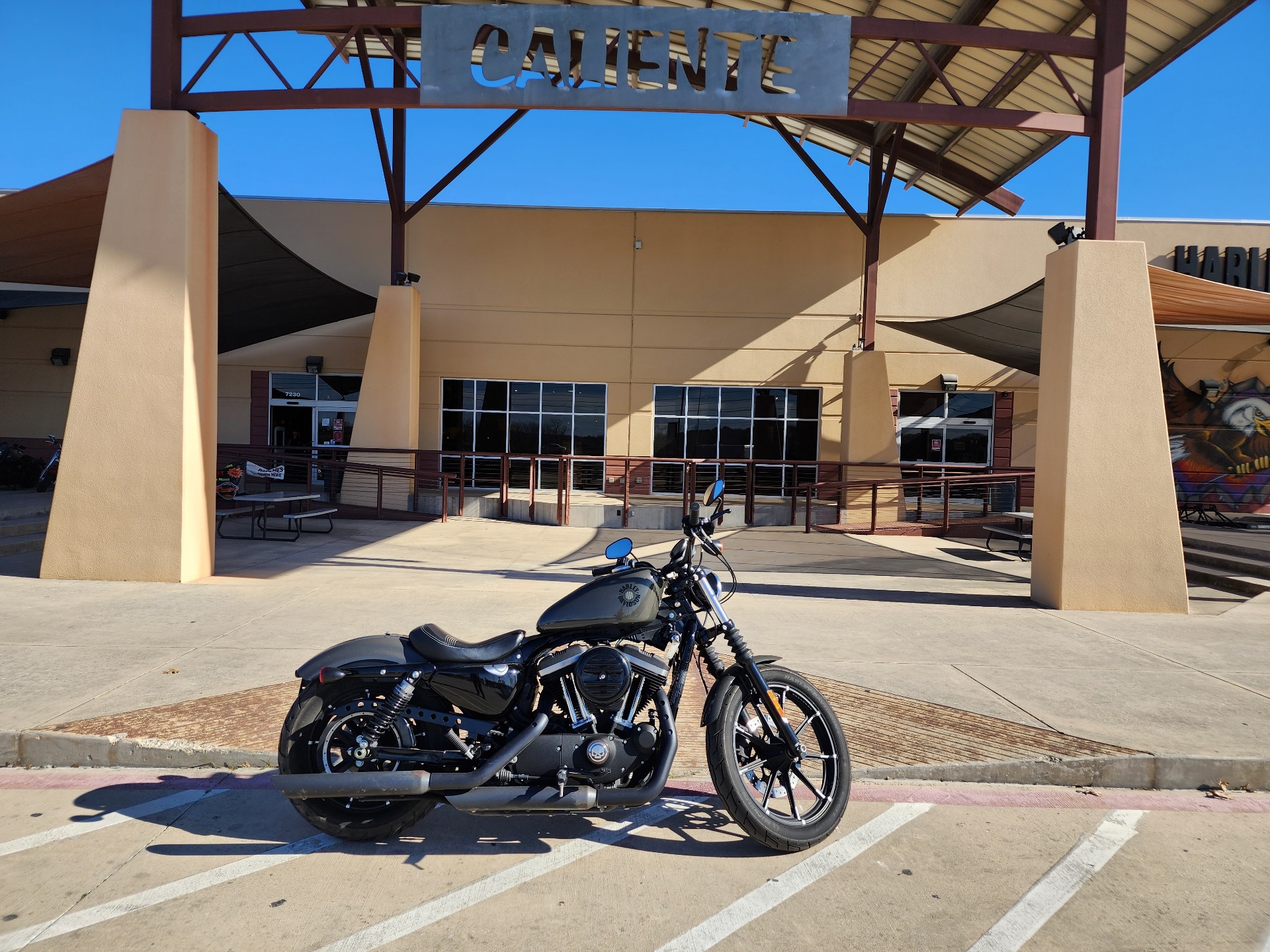 2019 Harley-Davidson Iron 883™ in San Antonio, Texas - Photo 1
